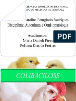 COLIBACILOSE