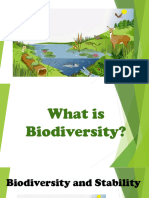 Biodiversity and Stability