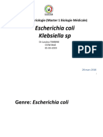 Fam Enterobacteriaceae E Coli Et Klebsiella
