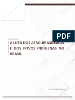 A Luta Dos Afro-Brasileiros e Dos Povos Indígenas No Brasil