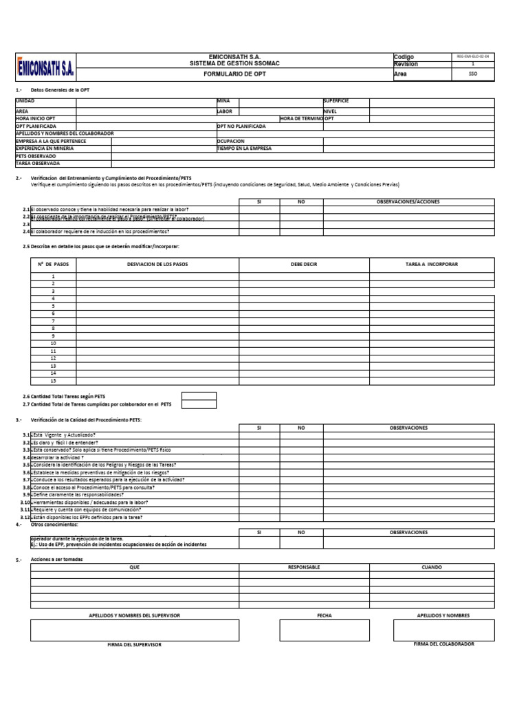 REG-VOL-GLO-02-04 Formulario de OPT | PDF