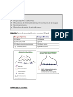 Resumen NEUROBIOLOGÍA 