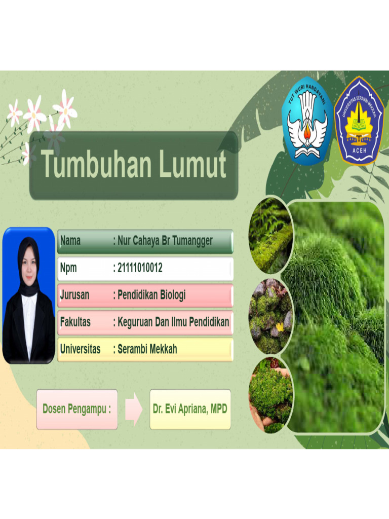 Ciri dan Reproduksi Tumbuhan Lumut | PDF