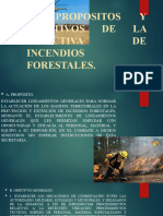 A. Propositos Y Objetivos DE LA Directiva DE Incendios Forestales
