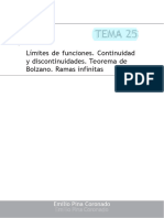 Tema 25