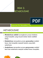 Osn - BSM 2 Metabolisme