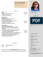 209 Curriculum Vitae Completo1