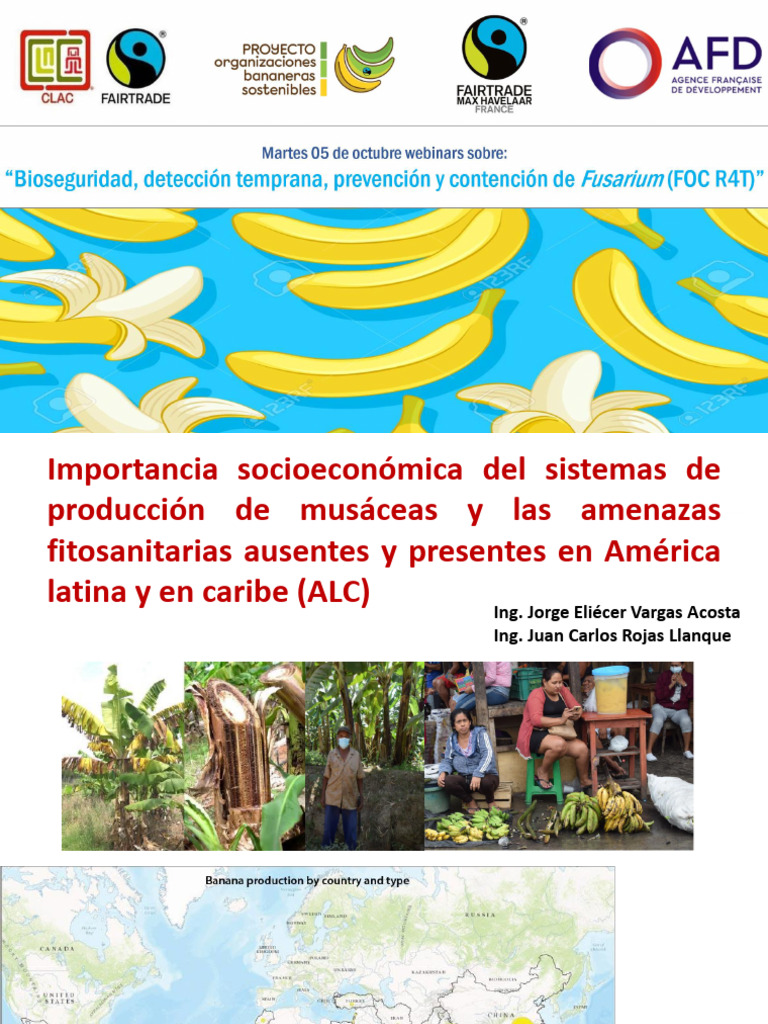 Foc R4T - Peru2021 | PDF | Plátano | Organismos