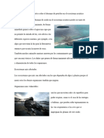 Ensayo Argumentativo Sobre El Derrame de Petróleo en El Ecosistema Acuático