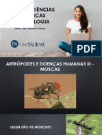 Aula 13 - Artrópodes e Doenças Humanas 