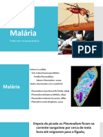 Aula 04 - Protozoários Parasitos Do Homem III - Malária