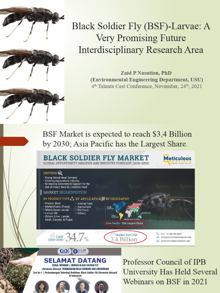 BSF Farming: Future Protein Source in Asia | PDF | Technology & Engineering