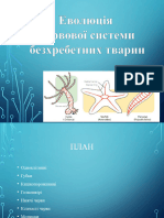 Еволюція Нервової Системи Безхребетних Тварин