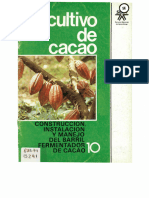Cultivo de Cacao 10
