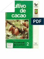 Cultivo de Cacao 2