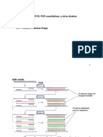 RT PCR