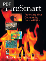 WUI Structure Defense Guidelines | PDF | Firefighter | Situation Awareness