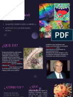 LSD Presentacion Expo Completa