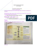 Chapter 10 Optional Study Guide