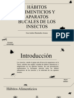 Habitos Almenticios de Los Insectos Jose Hernandez