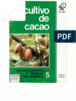 Cultivo de Cacao 5
