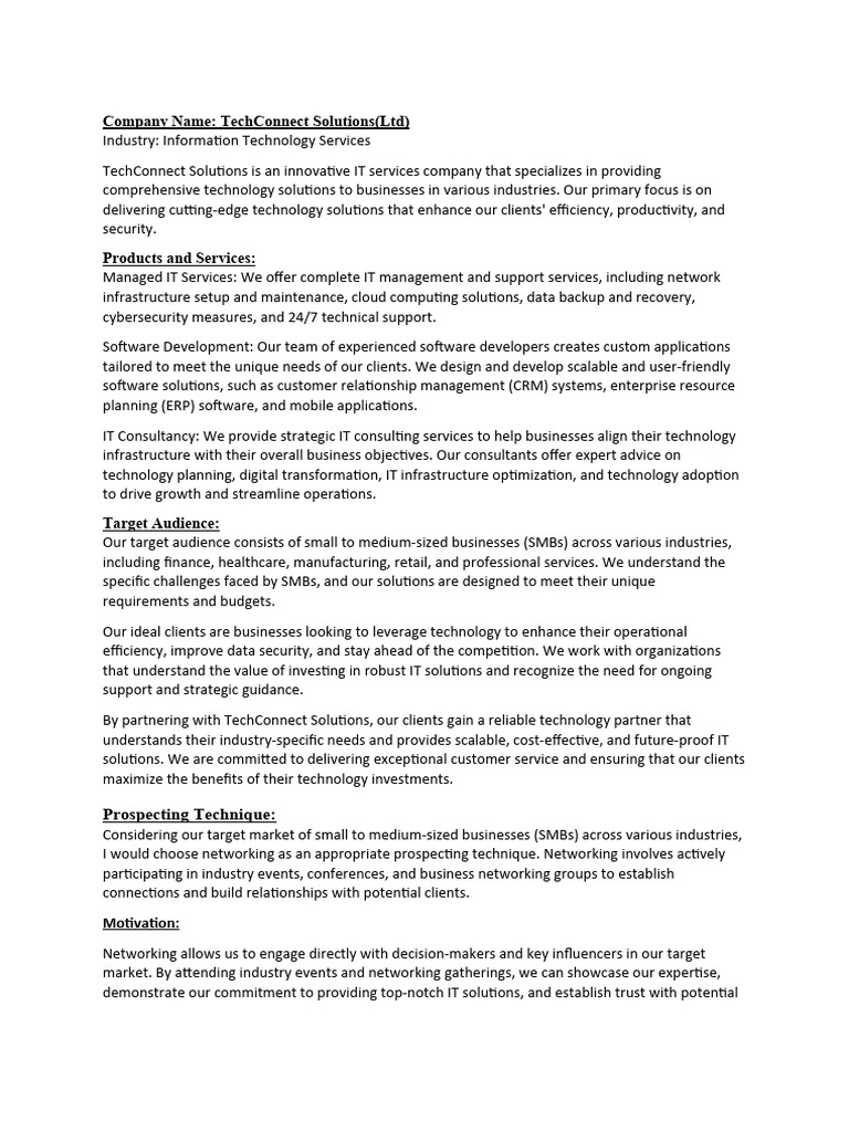 Cleaning Company Project Plan