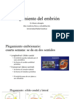 Plegamiento Del Embrión