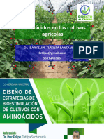 Aminoácidos en Los Cultivos Agrícolas. Último