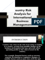 Country Risk Analysis