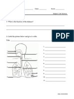 Excretory and Respiratory System D.quiz