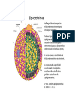 Lipoproteinas