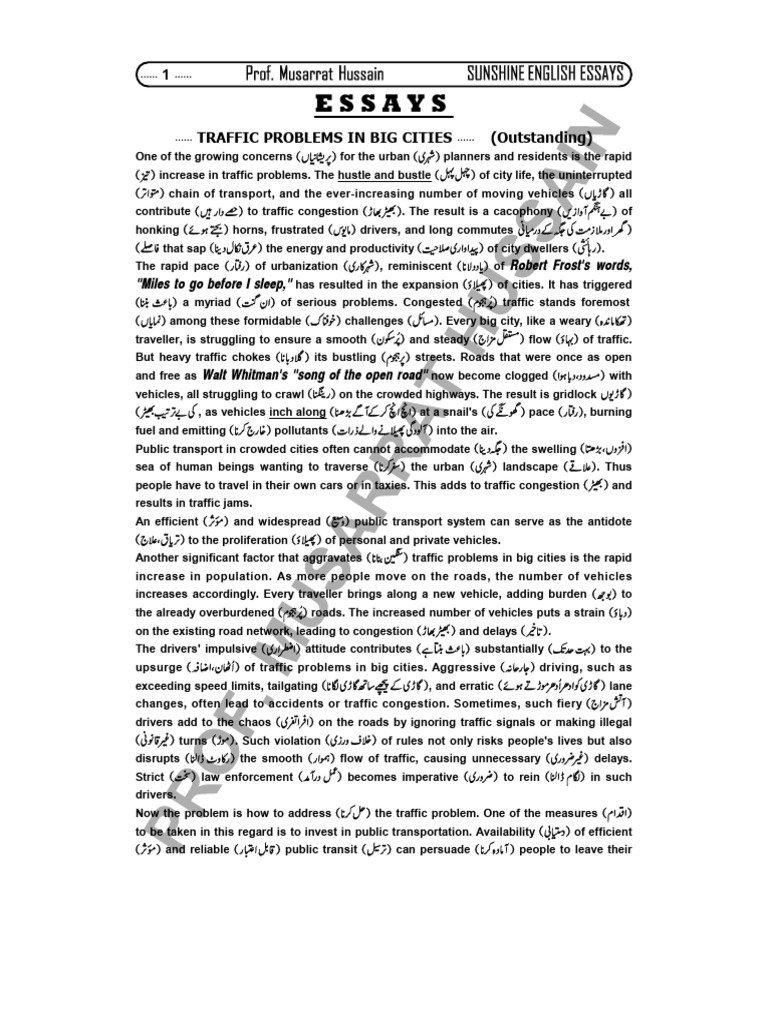 Traffic Problems in Big Cities | PDF | Traffic | Traffic Congestion
