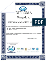 Diploma Por La Elaboración de AST