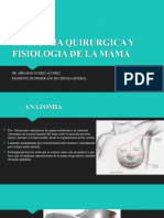 Anatomia y Fisiologia de Mama Clase