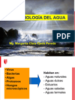 Sesión 12 MICROBIOLOGÍA AGUA Y BEBIDAS