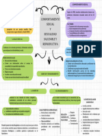 Infogragia de Sexualidad Saludable y Reproductiva