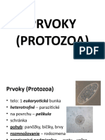 Prvoky