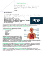 Dýchacia Sústava A Mechaniznus Dýchania