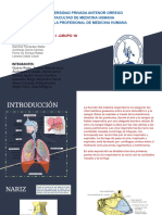 Anatomía S6