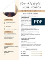 Curriculum CV Resume Academico Minimalista Profesional Simple Blanco