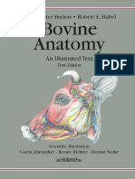 Budraskdhabelrebovineanatomy2003 230821 205444