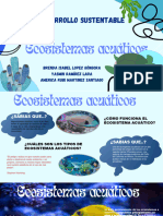 Ecosistemas Acuáticos - D.S