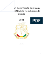 CDN Guinee 2021 Revision VF