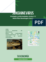 Sunshinevirus