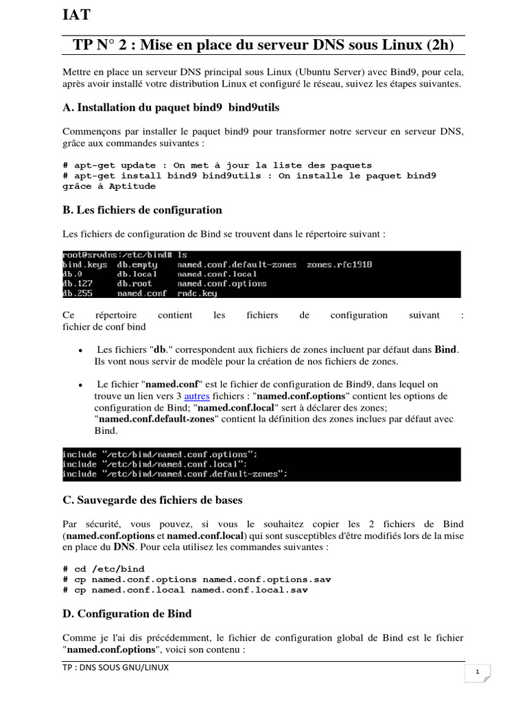 Mise en place d'un serveur DNS sous Linux | PDF | Système de noms de ...