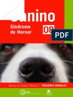 Canino 8 Version Digital