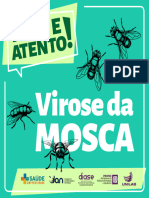 Virose Da Mosca