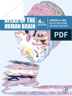 Atlas of The Human Brain
