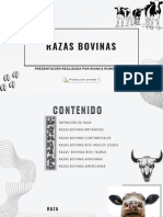 Razas Bovinas - PDF f3