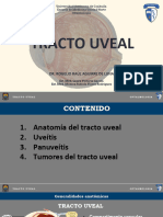 Tracto Uveal - Oftalmologia